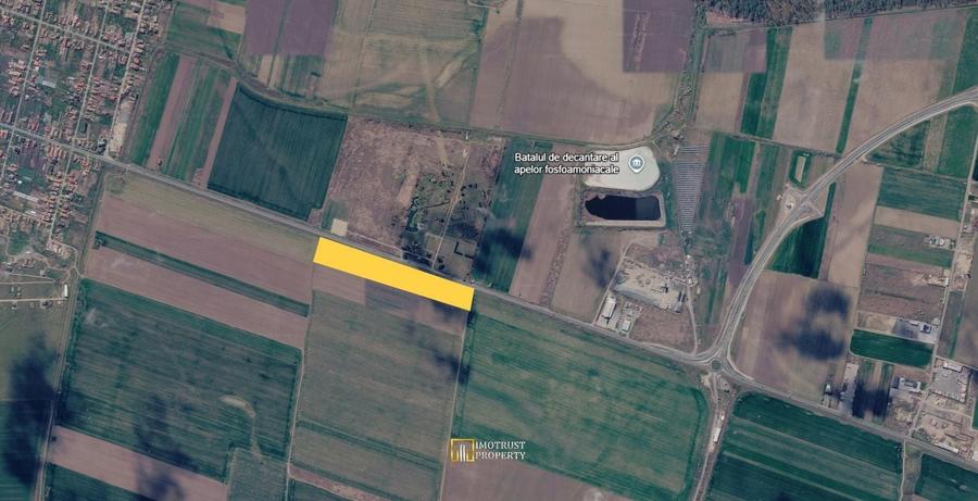 Teren agricol extravilan de 41800 mp, în Vladimirescu