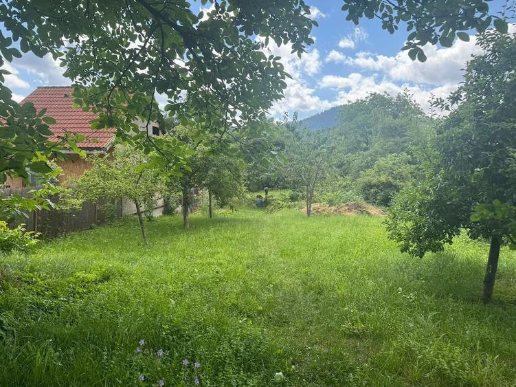 Casă cu 5 camere cu Teren 1690 Mp în Turcheș