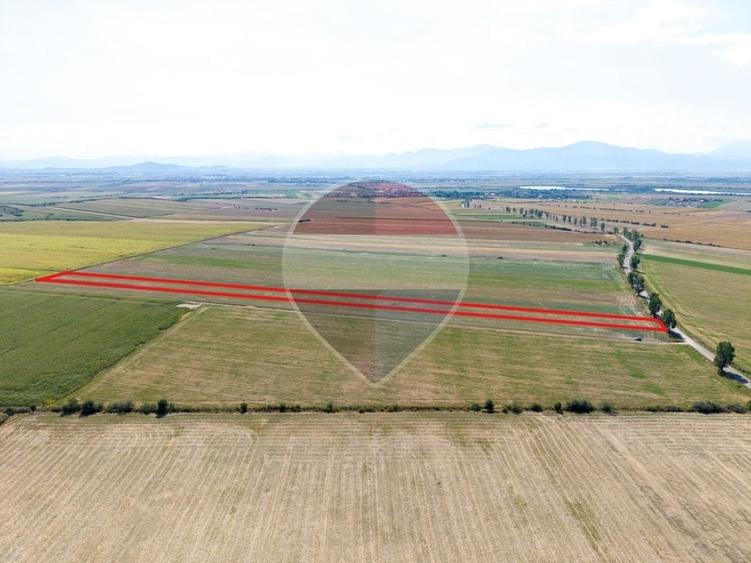 Teren agricol extravilan de 30000 mp, în Hălchiu