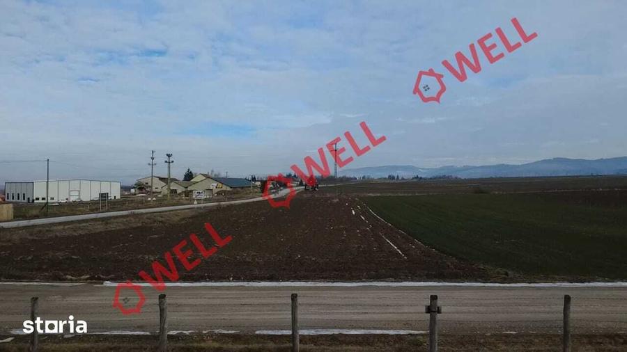 Teren de 4100 mp, în Tușnad