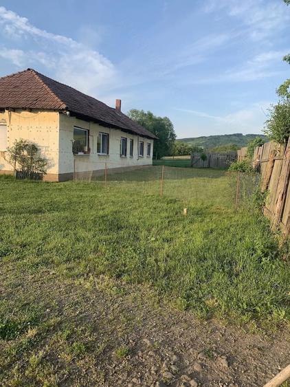 Casă cu Teren 4000 Mp în Dămieni