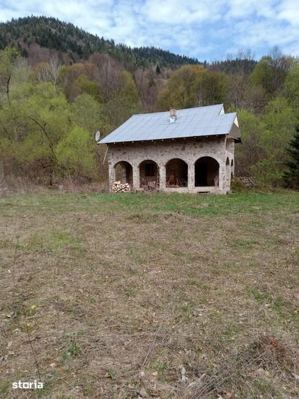 Teren de 30283 mp, în Tarcău