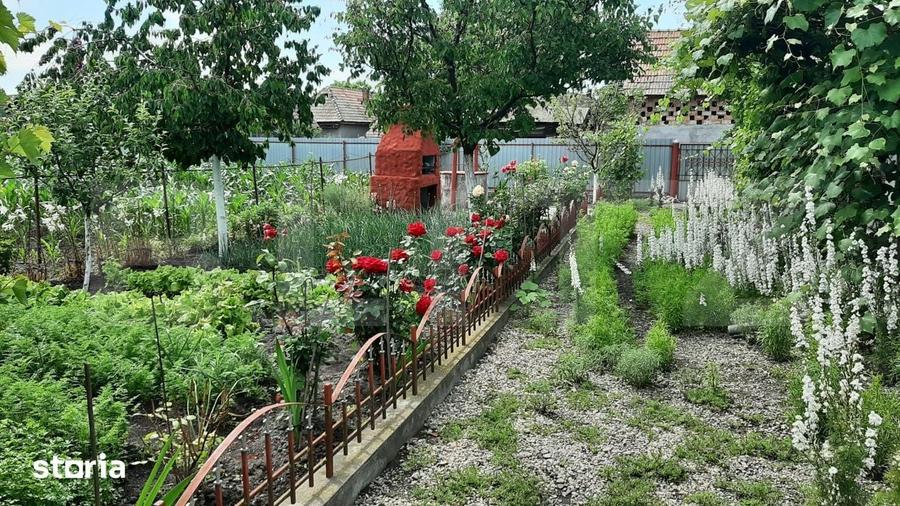 Casă cu 3 camere cu Teren 550 Mp în Chețani