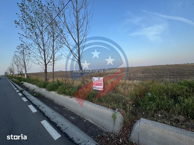 Teren generos, situat pe drum asfaltat intre Craiova ?i Piele?ti