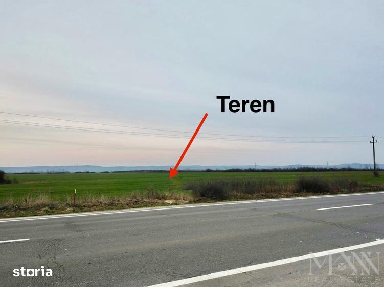 Teren de 15003 mp, în Saca