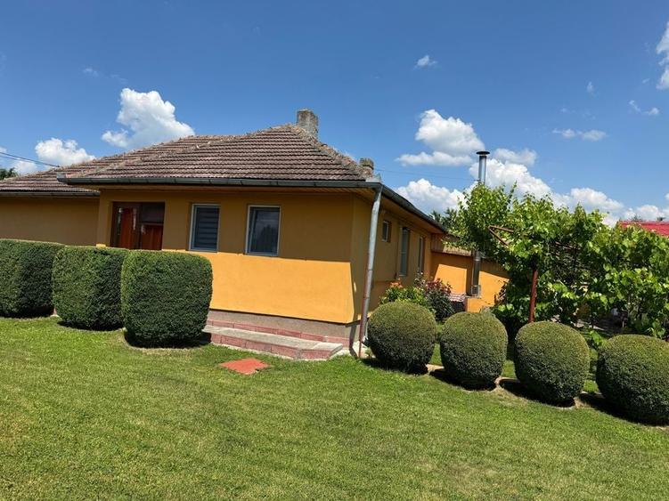 Casa de vanzare Rupea - 4