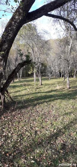 Teren de 5900 mp, în Vălișoara