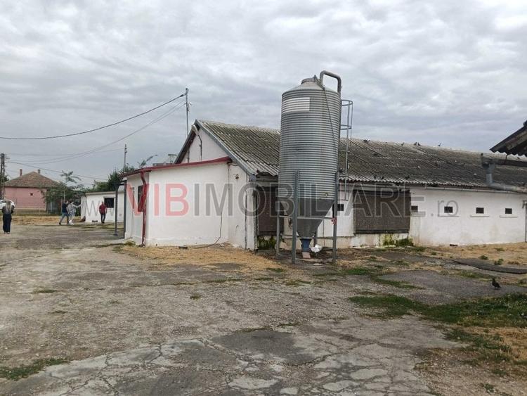 Spațiu comercial, de 5,000 mp, în Podgoria
