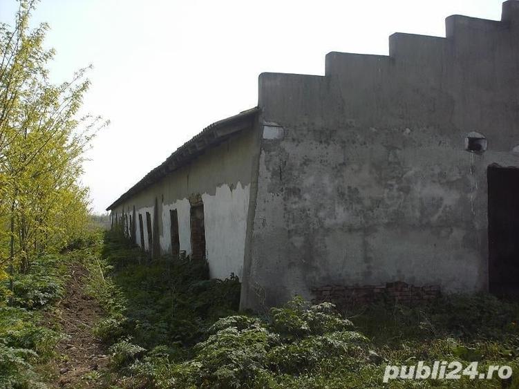 Teren de 1335 mp, în Grădiștea
