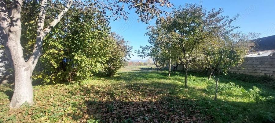 Casă cu 5 camere cu Teren 2500 Mp în Bod
