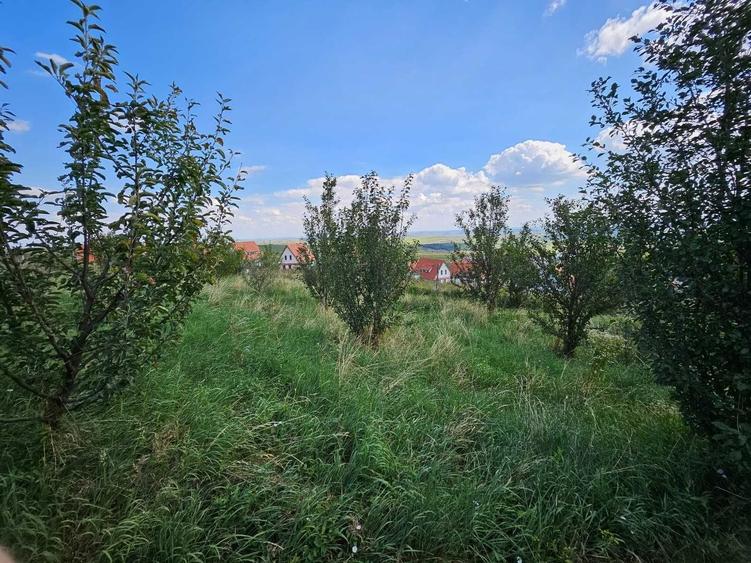 Vand teren intravilan comuna Aiton judetul Cluj, priveliste deosbita - 2