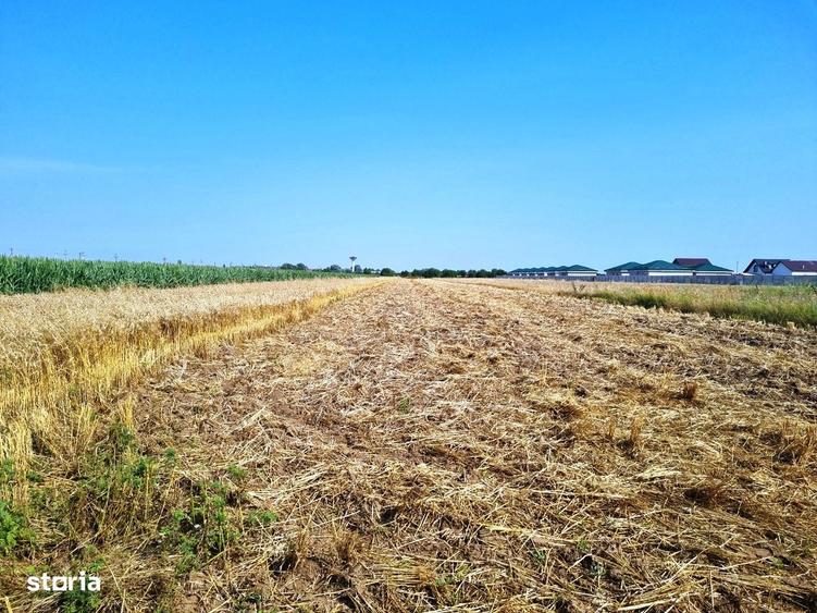 Teren de 20000 mp, în Central