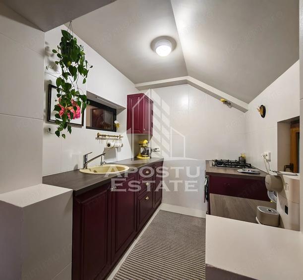 Casa individuala de vanzare cu 11 camere, an 2000, Lipovei, Timisoara - 8