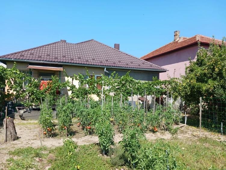 Casă cu 4 camere în Central