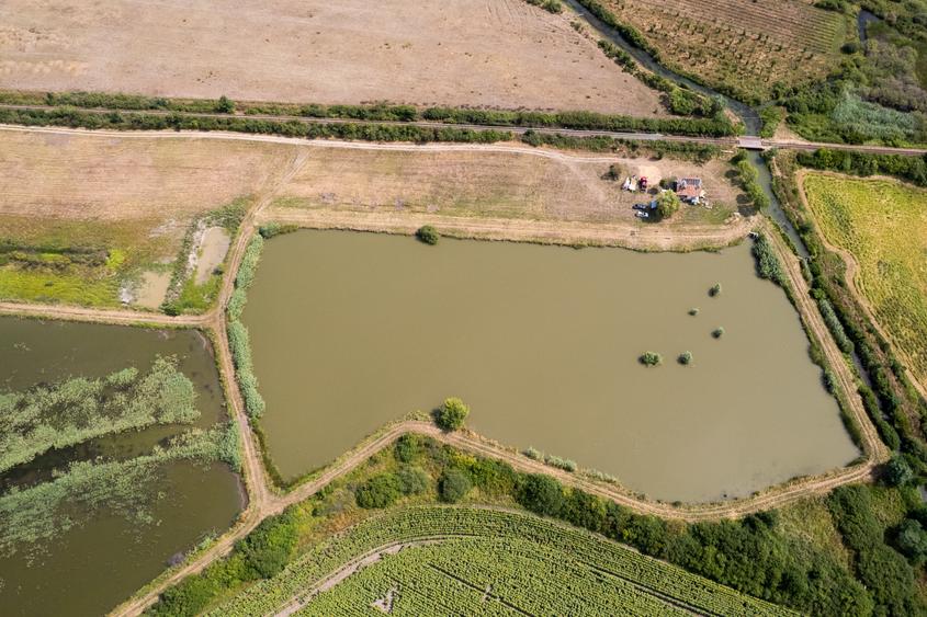 Teren extravilan de 66500 mp, în Exterior Sud