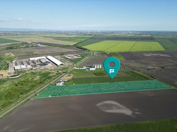 Teren de 24200 mp, în Iratoșu