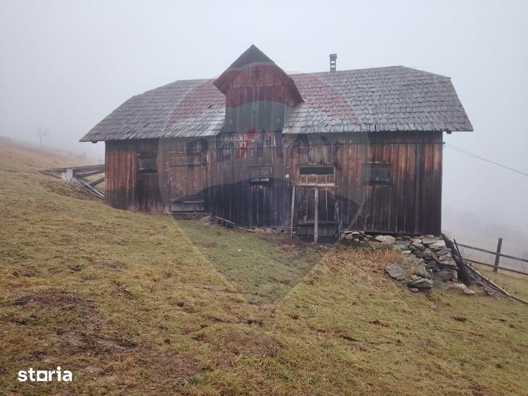 Teren de 26238 mp, în Dorna-Arini