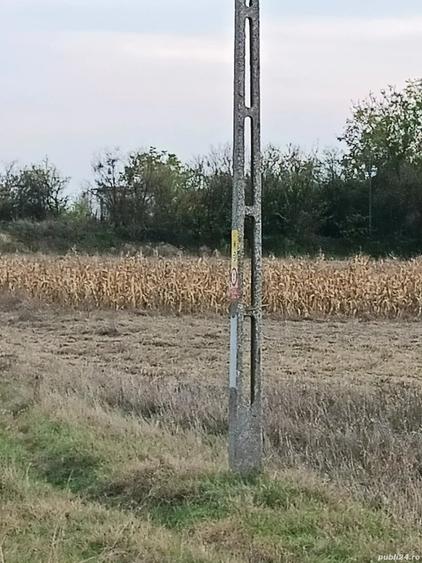 Teren de 12500 mp, în Brănești