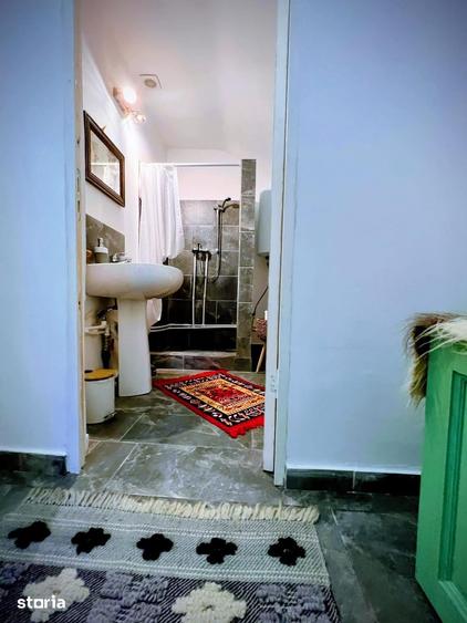 Casă cu 6 camere cu Teren 20000 Mp în Hangu
