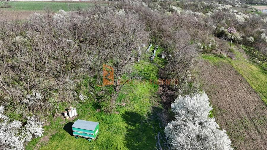 Teren intravilan de 3740 mp, în Scurtești