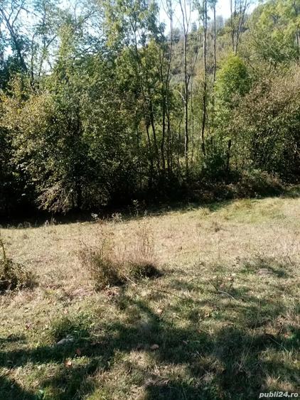 Teren de 6209 mp, în Lelese