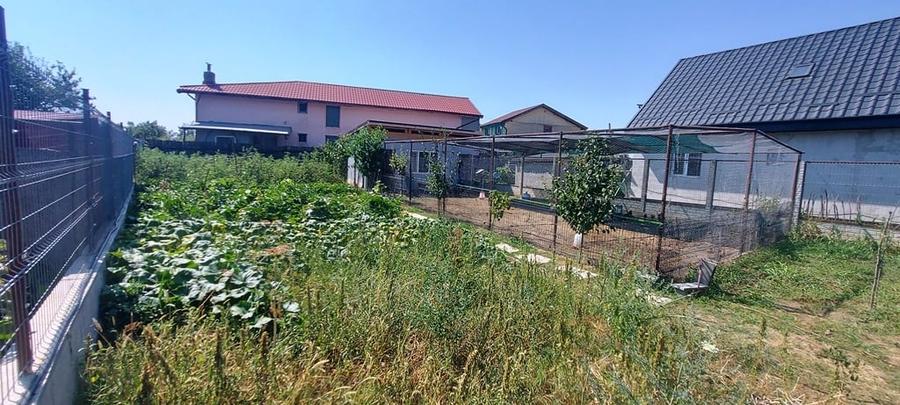 Teren Construcții intravilan de 600 mp, în Cernica