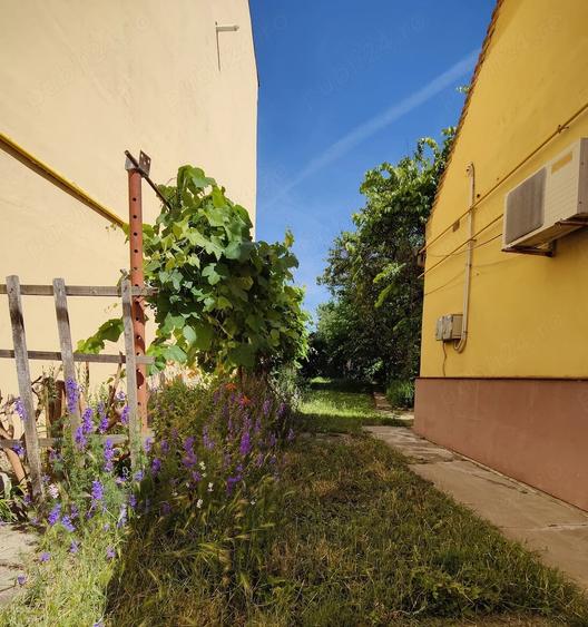 Casă cu 3 camere cu Teren 350 Mp în Central