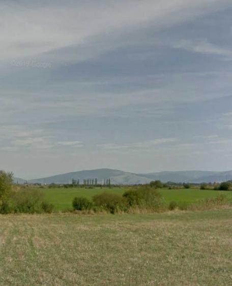 Teren de 25000 mp, în Prejmer