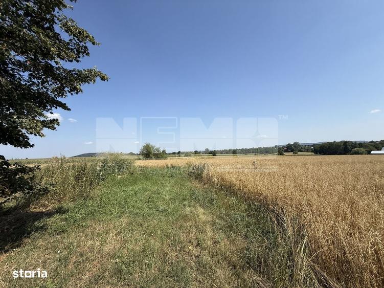 Spațiu comercial, în Horodnic