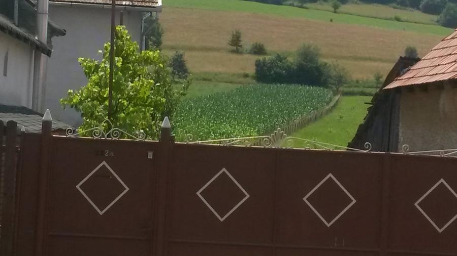 Teren extravilan de 4481 mp, în Vâlcele