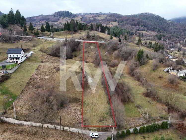 Teren Construcții intravilan de 3726 mp, în Dâmbovicioara