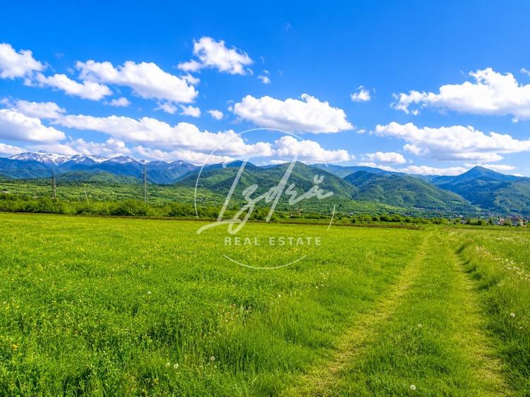 Teren agricol extravilan de 2800 mp, în Tălmaciu
