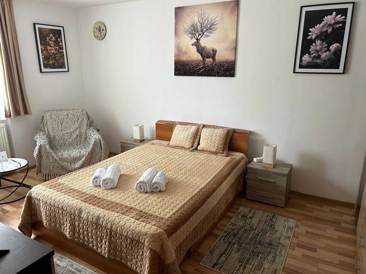 Garsonieră decomandată în Precista