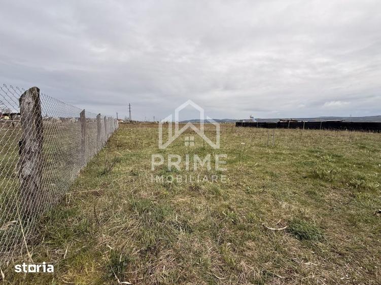 TEREN INTRAVILAN 525 MP, ZONA LINISTITA, ALBA IULIA - 2