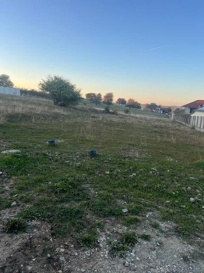 Teren Construcții de 1571 mp, în Daia Nouă