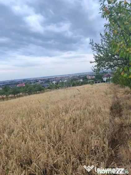 Teren în Păulești