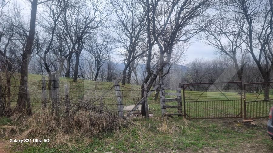 Teren Construcții intravilan de 3781 mp, în Schiulești
