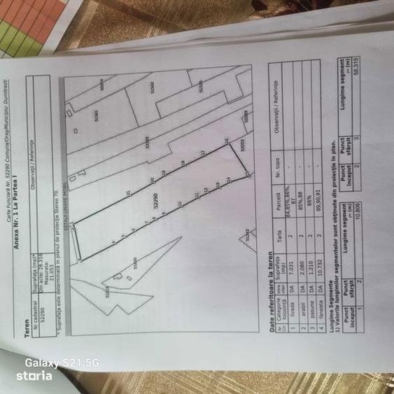 Teren de 25000 mp, în Dumitrești