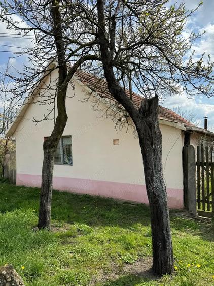 Teren de 1508 mp, în Dragșina
