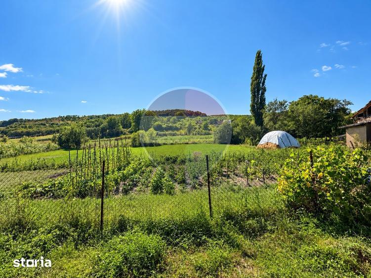 Teren intravilan 1454mp | Bade?ti, Cluj | Oportunitate de Investi?ie - 3