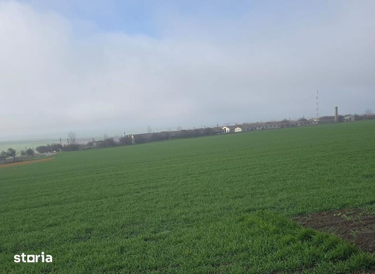 Teren de 95000 mp, în Beștepe