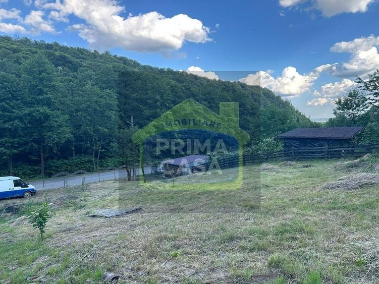 Teren Construcții intravilan de 6200 mp, în Tăuții-Măgherăuș