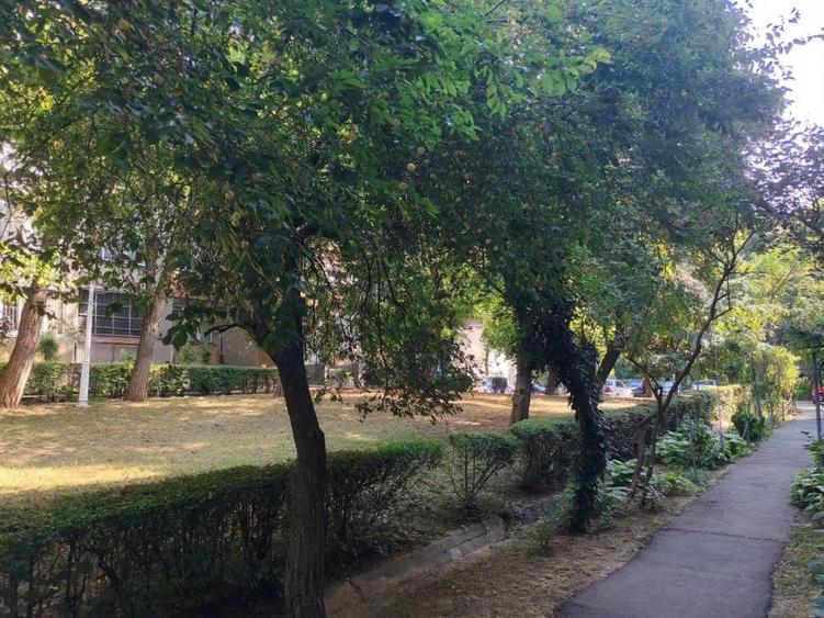 Apartament cu 2 camere semidecomandat în Rogerius