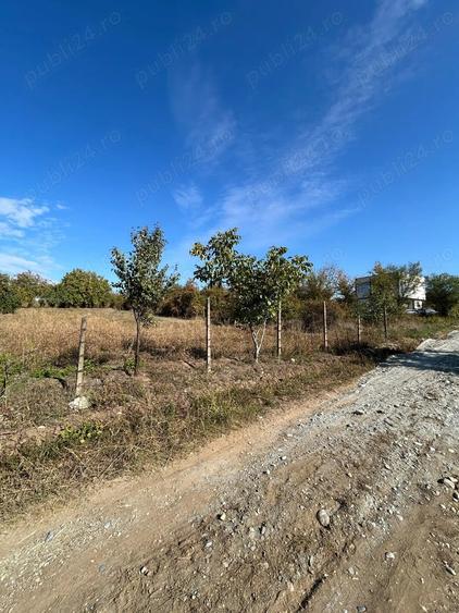 Teren de 1300 mp, în Cârcea