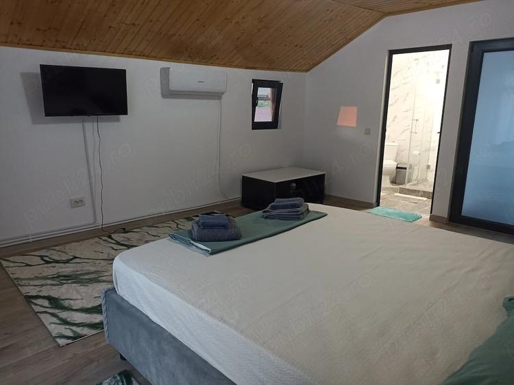 Casă cu 6 camere cu Teren 1500 Mp în Peceneaga