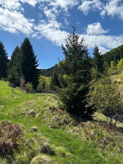 Teren agricol extravilan de 5000 mp, în Glod