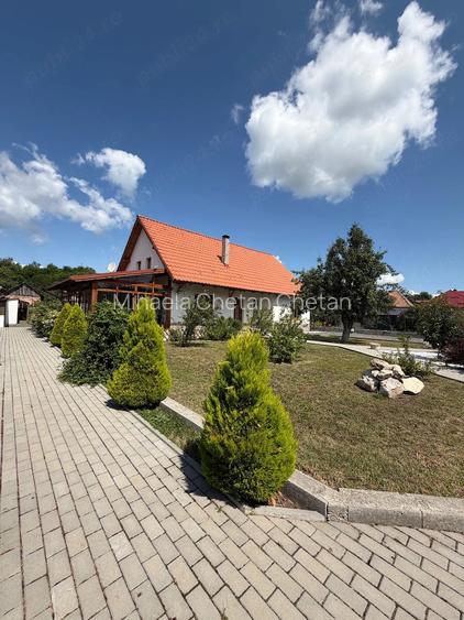 Vans casa Aiton Cluj