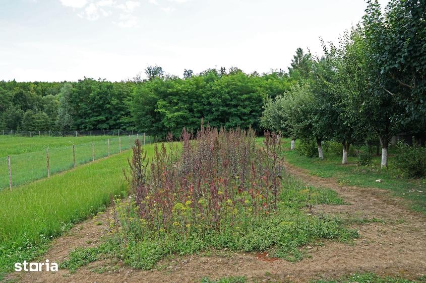 Casă cu 2 camere cu Teren 2500 Mp în Voitinel