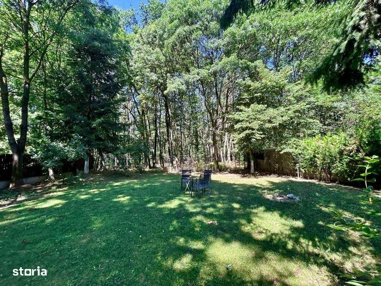 Resedinta 5 camere, cu Padure Privata, Paradisul Verde, teren 1735mp - 4