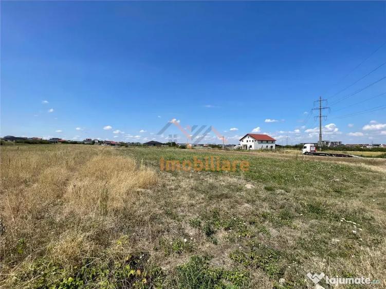 TEREN | 1391MP | SANMARTIN | BIHOR - 2